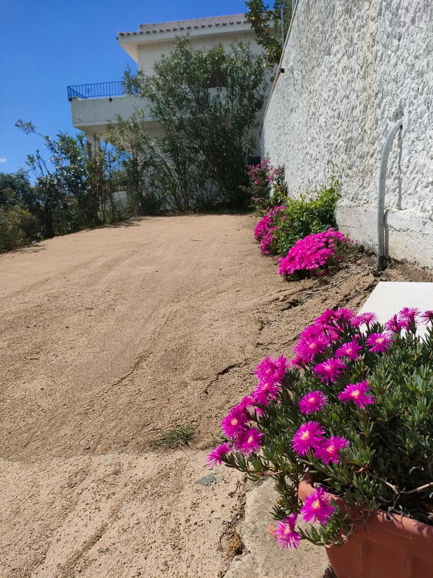 La Terrazza Sull'Alba Villa Costa Rei Dış mekan fotoğraf